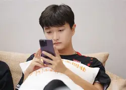 夏洛特黄蜂队新闻 夏洛特黄蜂队新闻