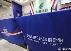 山东泰山2024年亚冠参赛球员名单