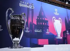 北美篮球单挑罗布科隆